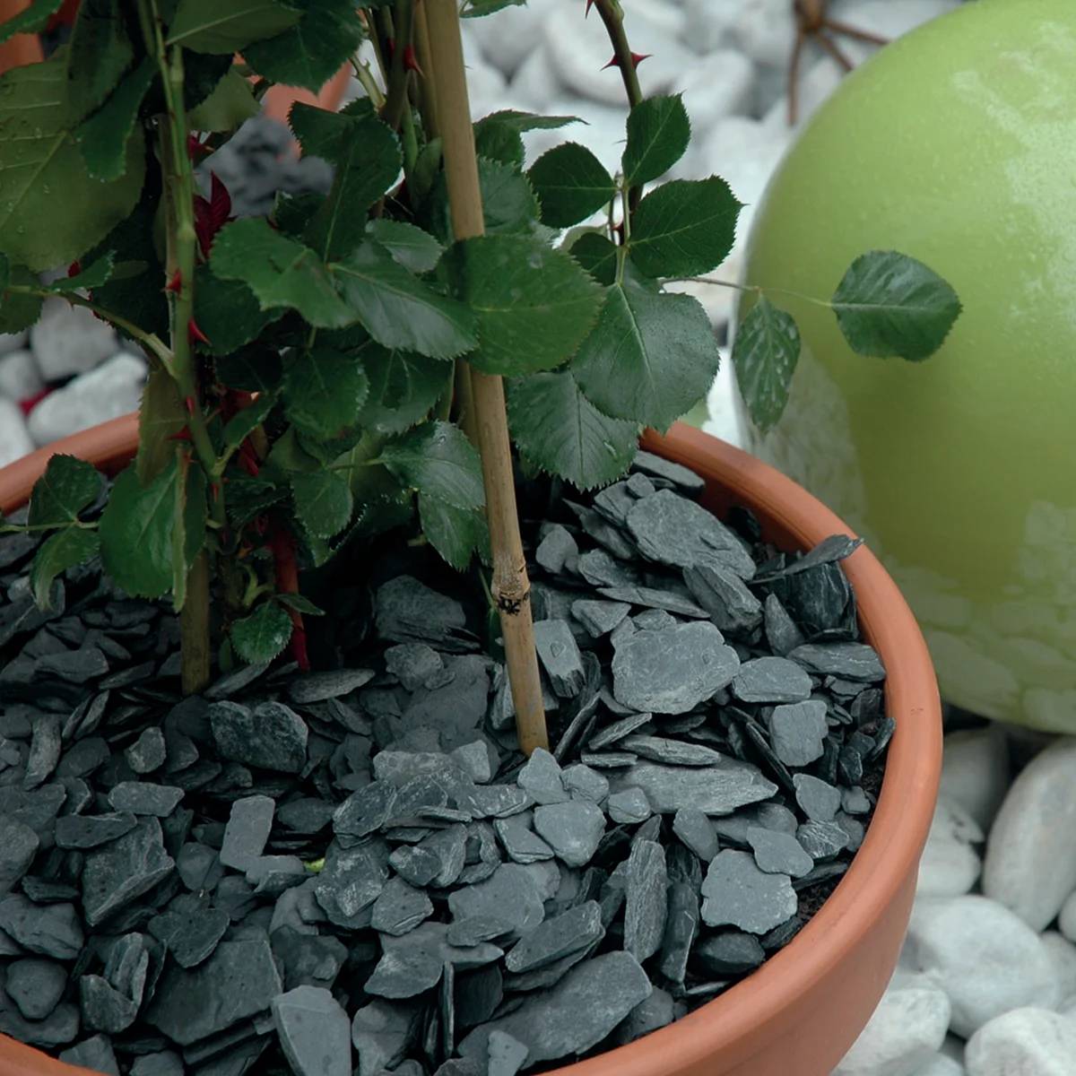 Agrodecor - Ardoise pilée 10/30 - sac 25 kg - Imagen 7