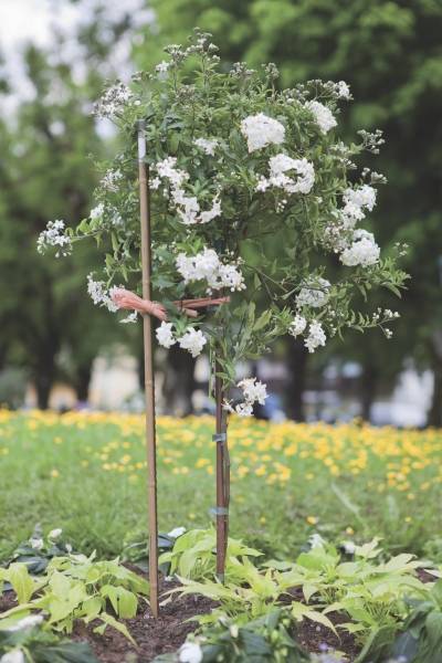 Windhager - Windhager - Tuteur en acier aspect bambou - H.150 cm - Imagen 2
