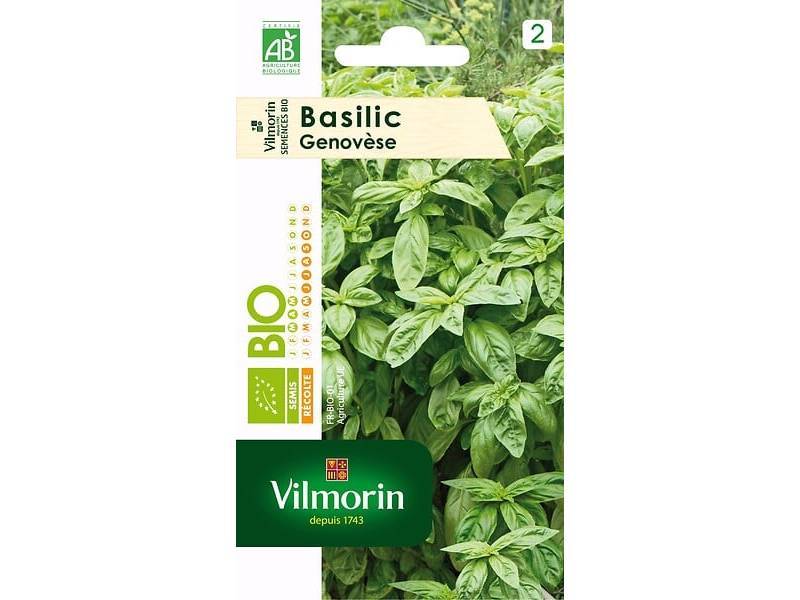 Vilmorin - Basilic Genovese Bio série 2 sachet graines 1 g - Vilmorin