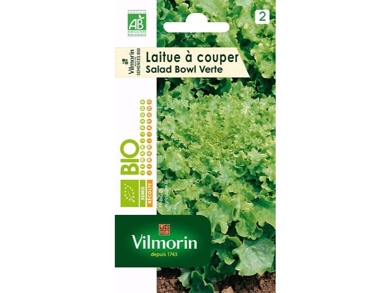 Vilmorin - Laitue a couper salad bowl verte Bio série 2 sachet graines 4 g - Vilmorin - Image 2