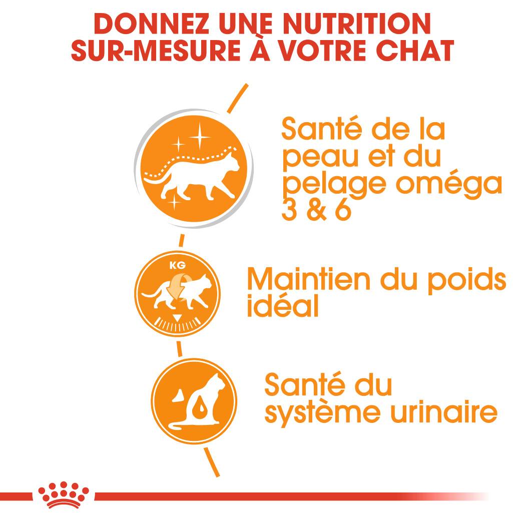 Royal Canin - Intense Beauty Chat Adulte - ROYAL CANIN - Imagen 3