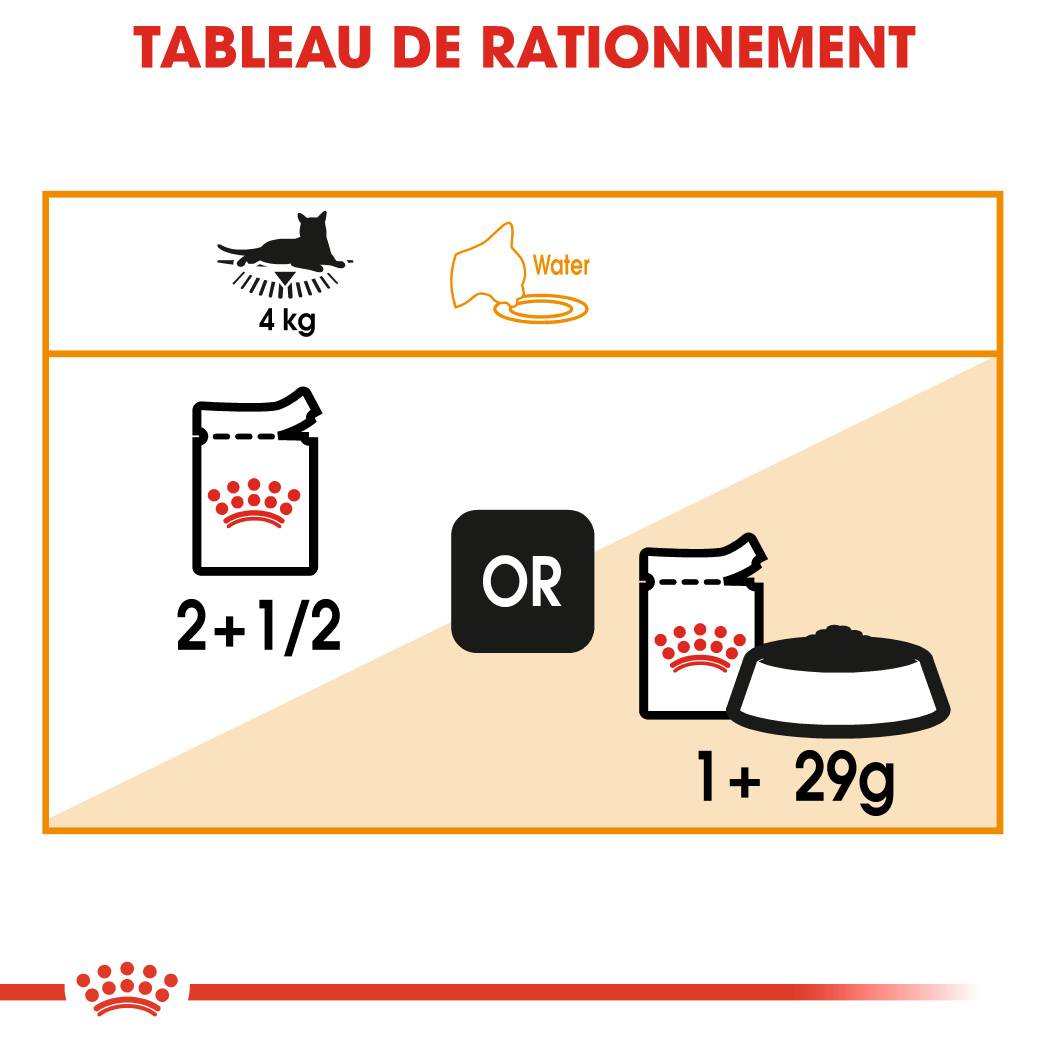 Royal Canin - Intense Beauty Chat Adulte - ROYAL CANIN - Image 5