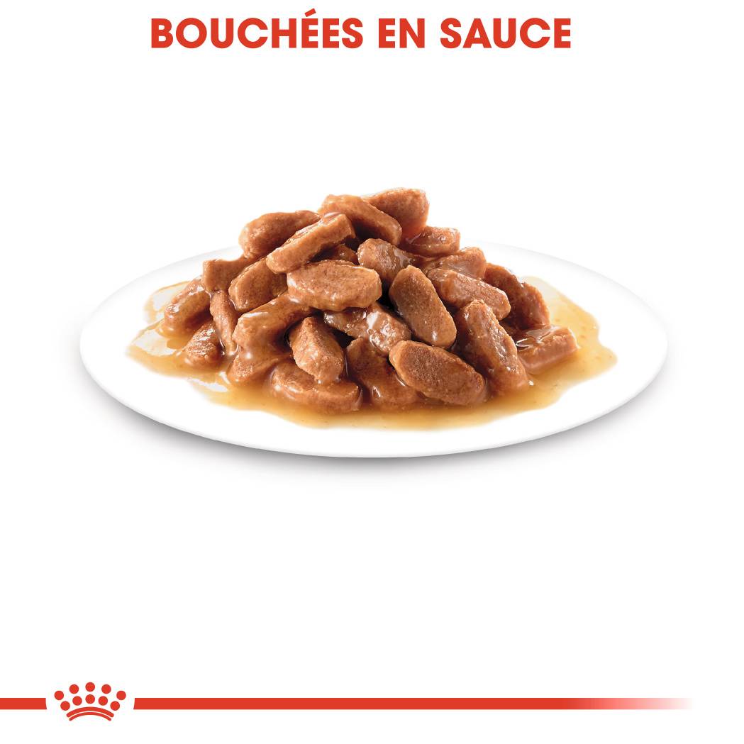 Royal Canin - Sachet Fraîcheur Kitten Sauce - ROYAL CANIN - Image 3