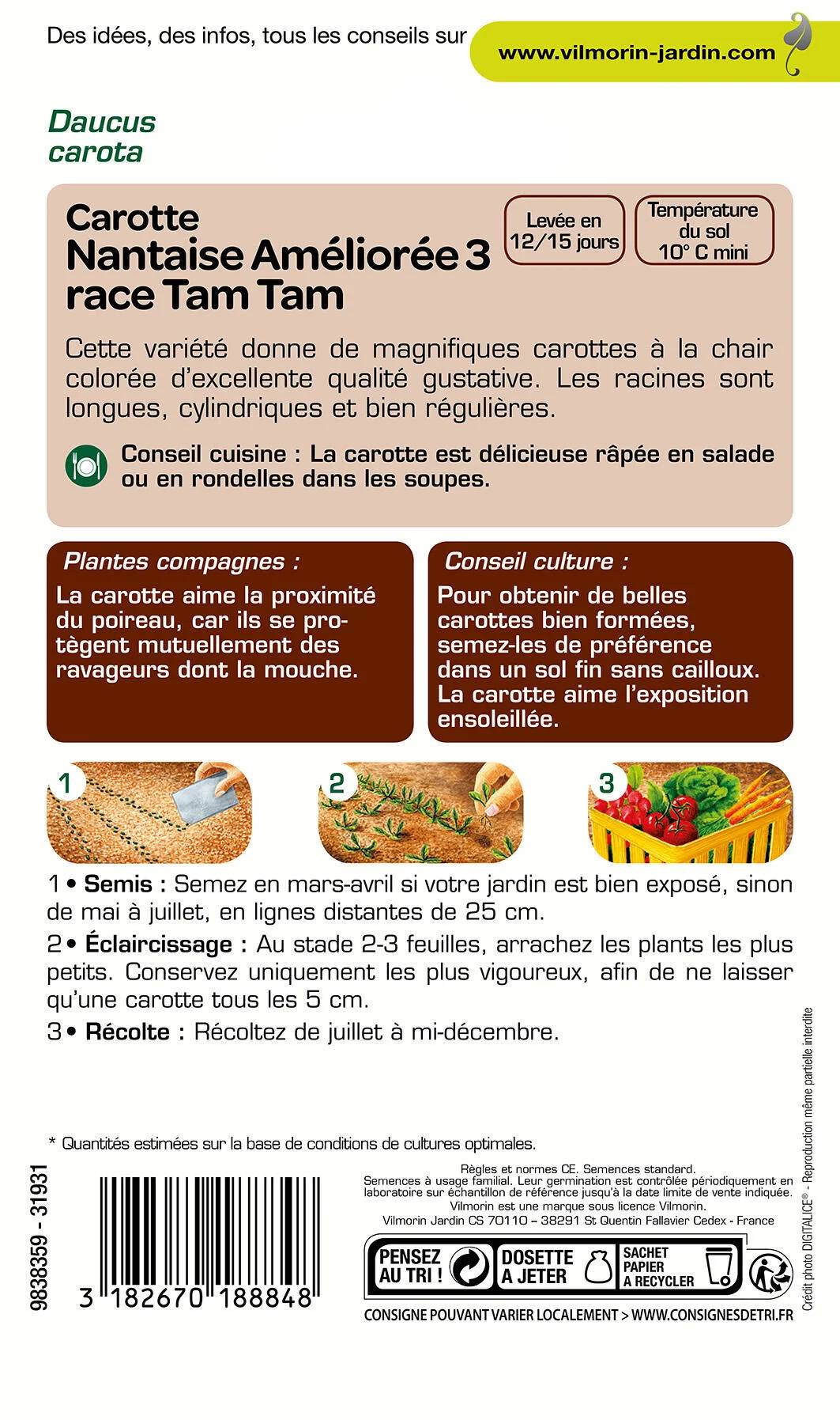 Vilmorin - Carotte nantaise améliorée 3 race Tam Tam rpl Tim tom série 2 sachet graines 4 g - Vilmorin - Image 3