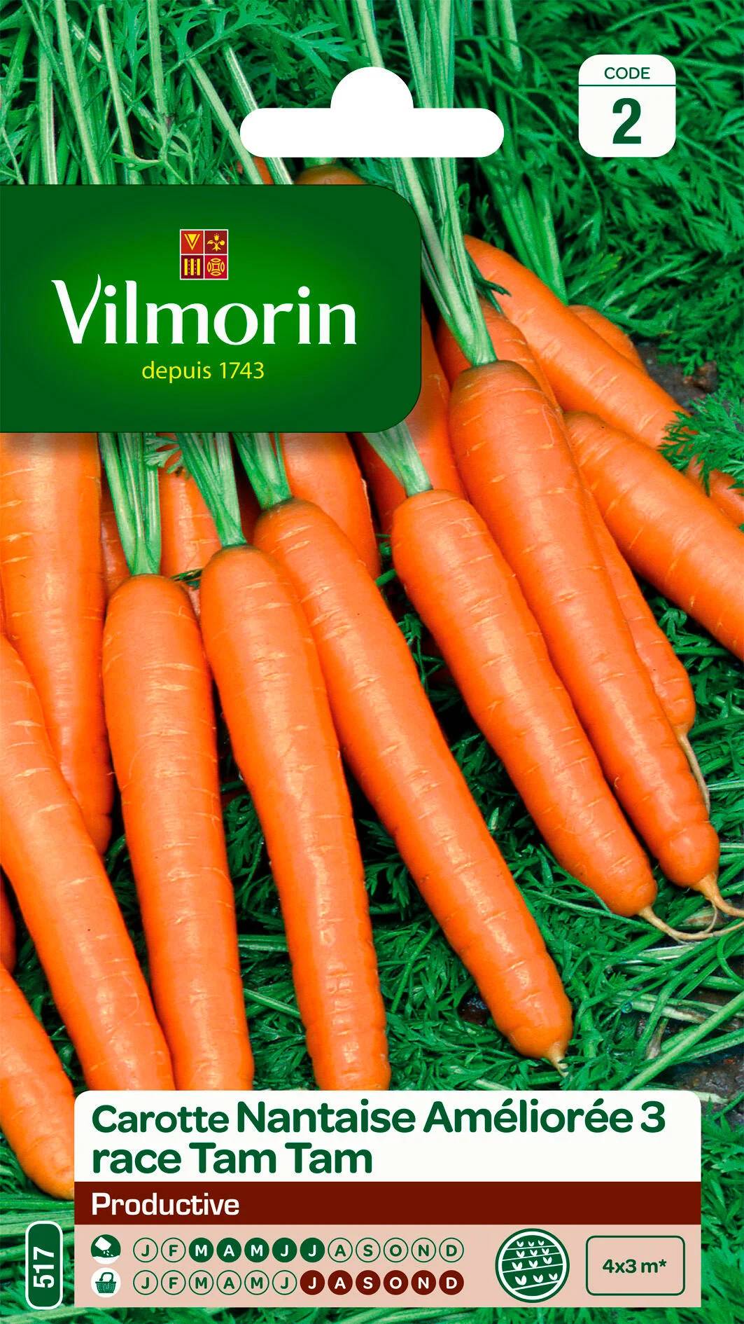 Vilmorin - Carotte nantaise améliorée 3 race Tam Tam rpl Tim tom série 2 sachet graines 4 g - Vilmorin - Image 1