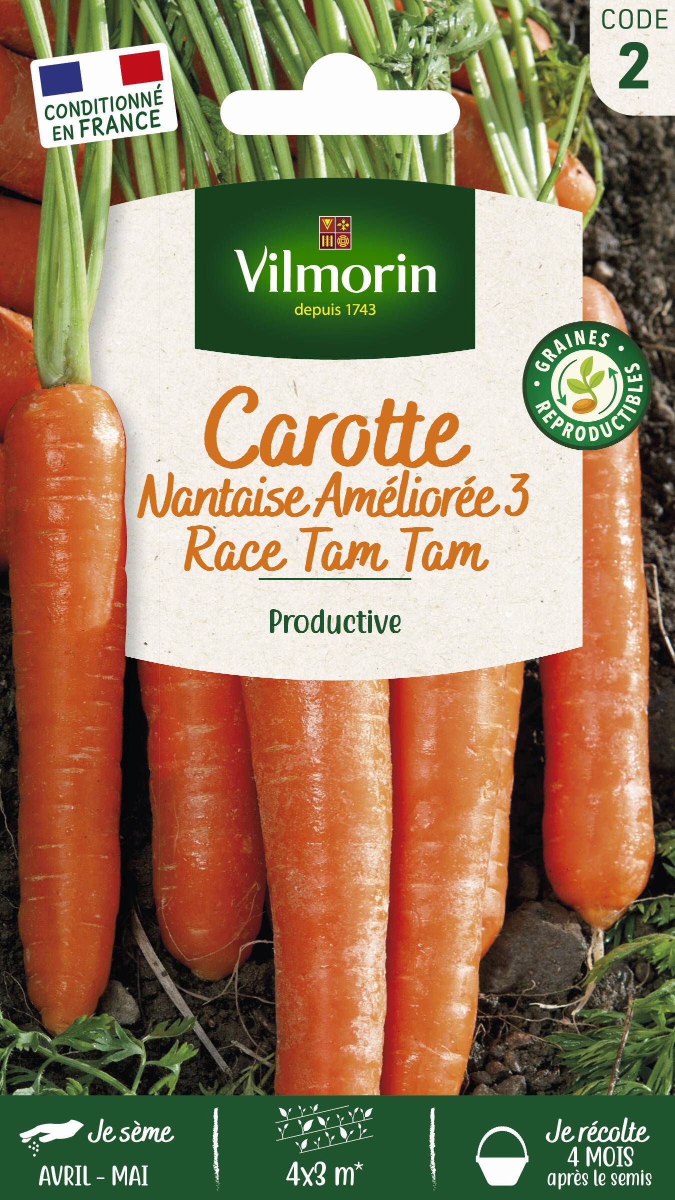 Vilmorin - Carotte nantaise améliorée 3 race Tam Tam rpl Tim tom série 2 sachet graines 4 g - Vilmorin - Image 2