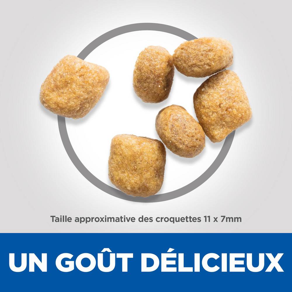 Science plan - Croquettes pour Chat Adulte Oral Care  Poulet 1,5kg - Science Plan Hill's - Image 5
