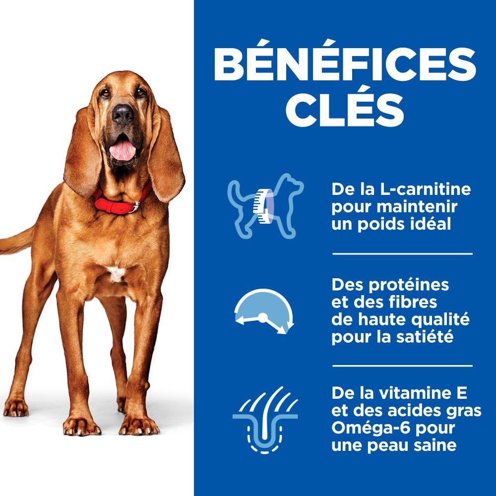Science plan - Croquettes pour Chien Mature Adulte 7+ Light Medium Poulet 12kg - Science Plan Hill's - Image 4