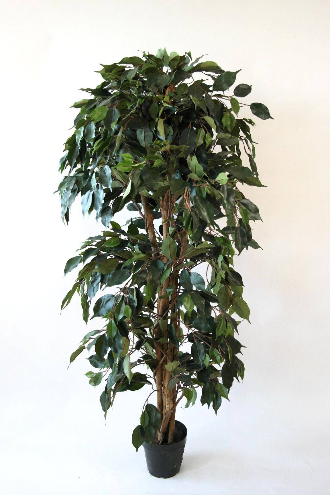 Kalyste - Ficus vert artificiel 180cm