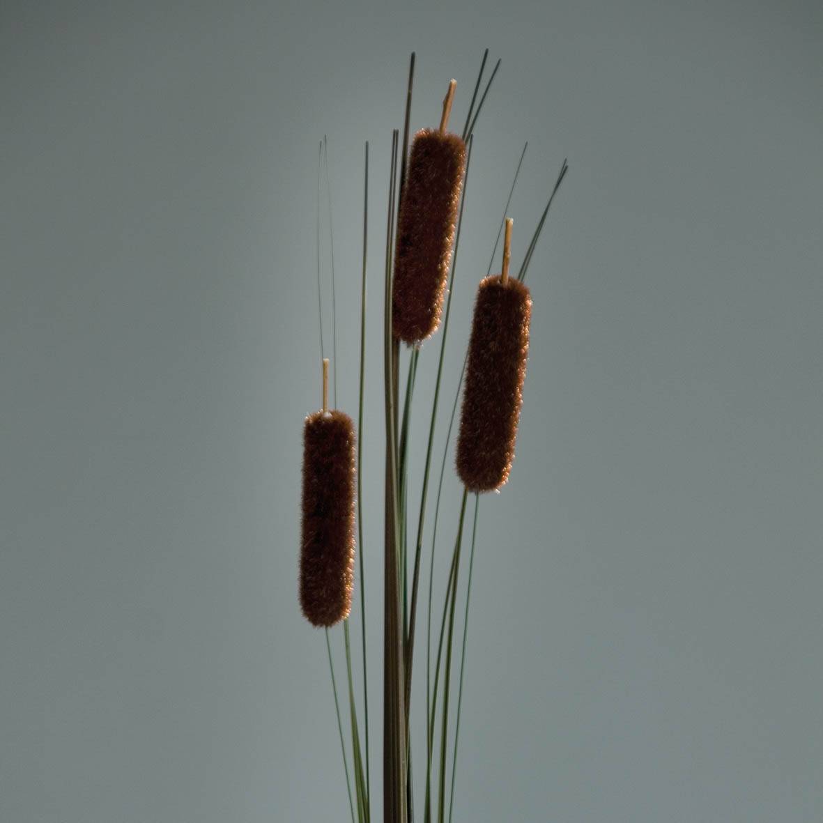 DPI - Fleur artificielle - Jonc brun L.61 cm