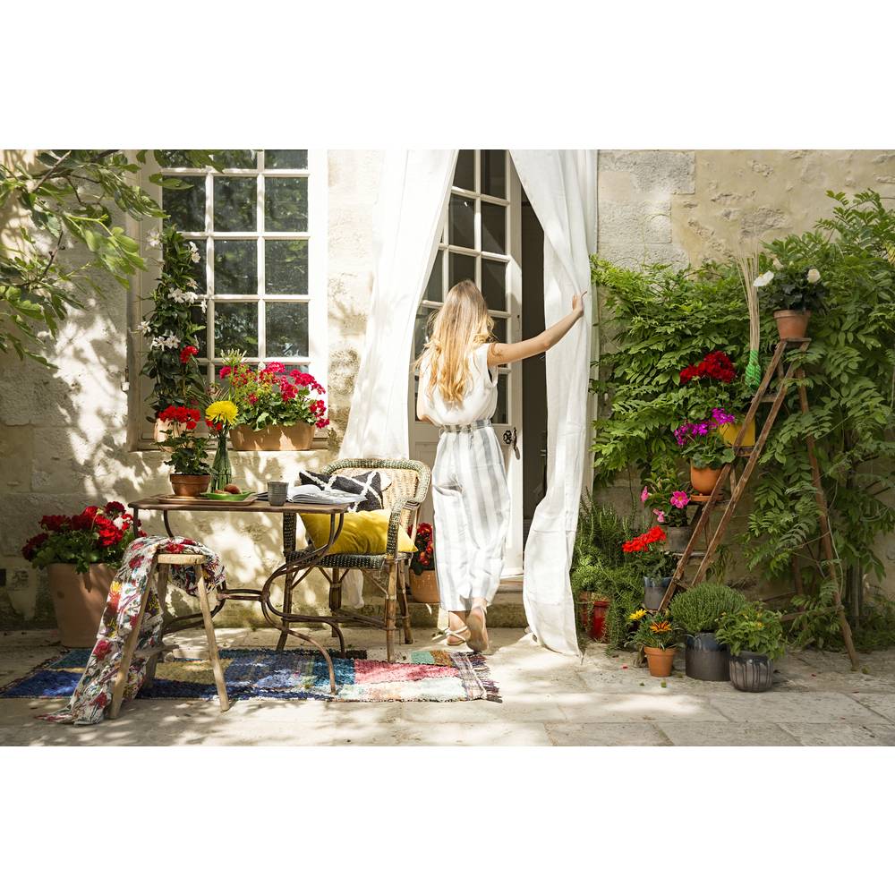 Goicoechea - Cuvier contemporain GOICOECHEA - Image 4