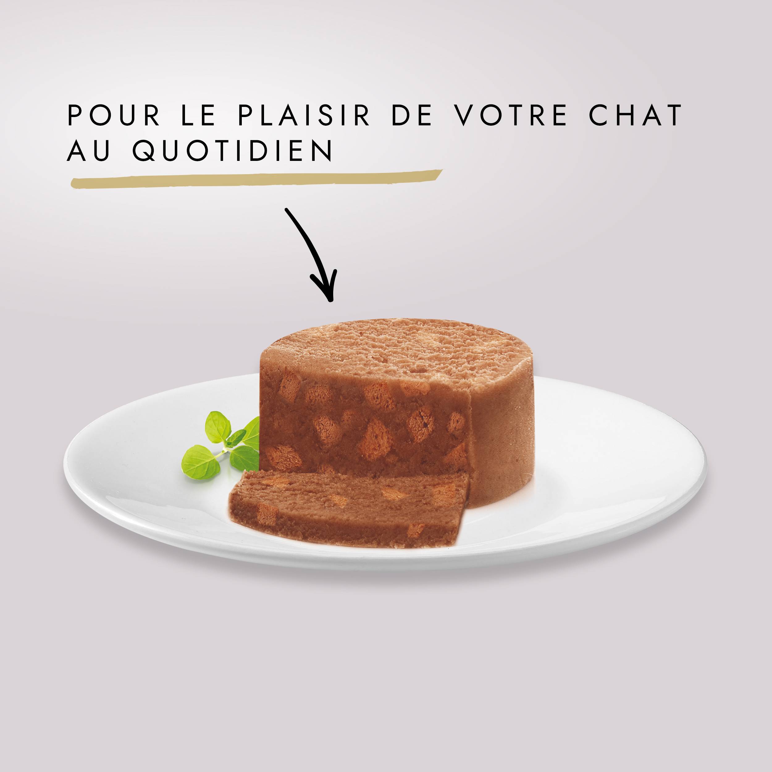 Purina Gourmet - Boîtes Terrines Aux Légumes Chat Adulte 12x85g - GOURMET GOLD - Image 5