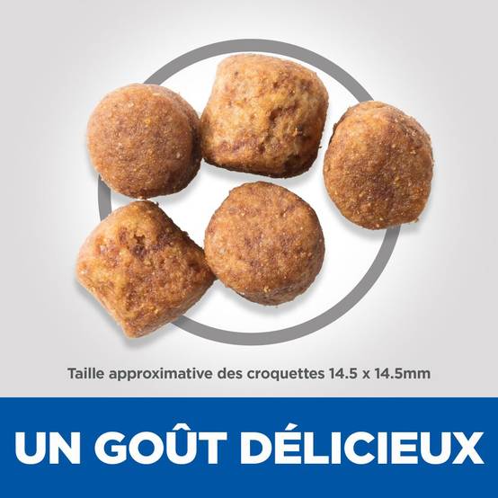 Science plan - Croquettes pour Chien Adulte Healthy Mobility Large Breed Poulet 12kg - Science Plan Hill's - Image 6