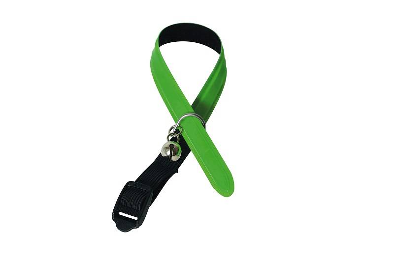 Martin Sellier - Collier pour Chat Reflectite Nylon Vert - MARTIN SELLIER