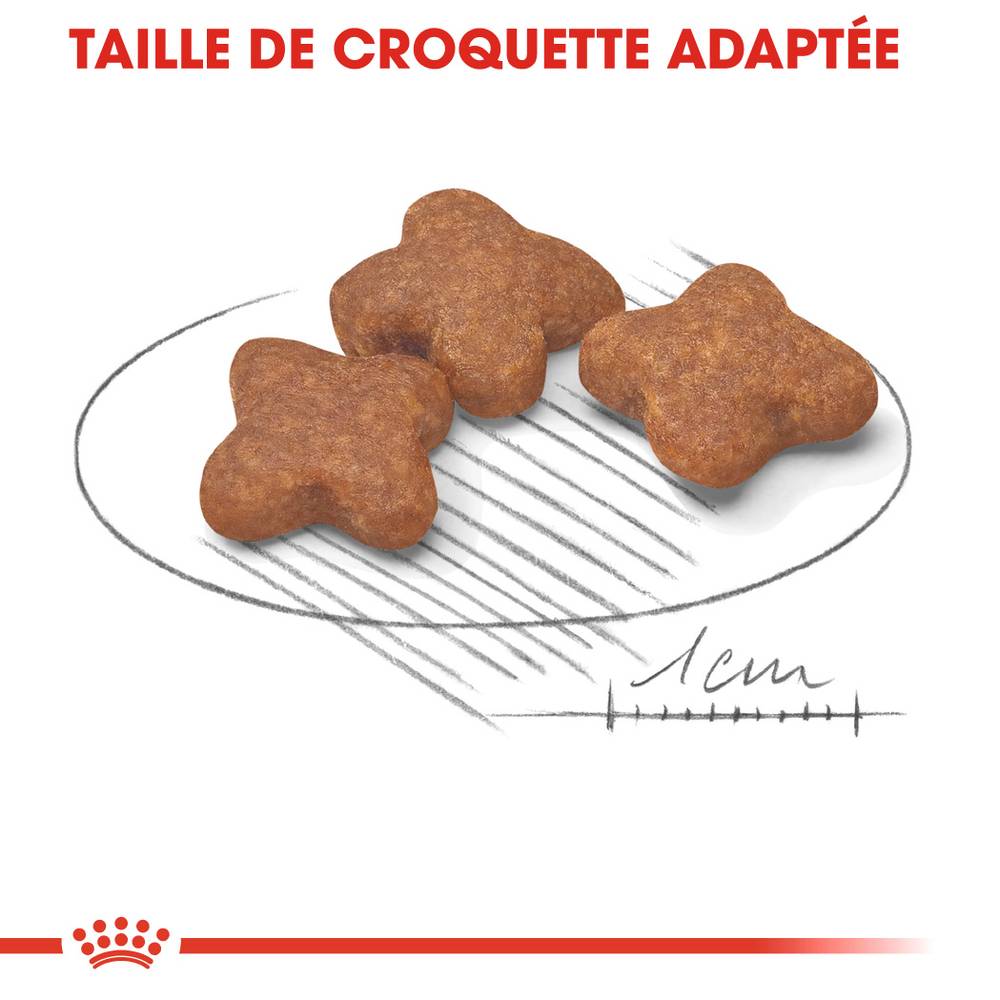 Royal Canin - Croquettes chien ROYAL CANIN - Image 4
