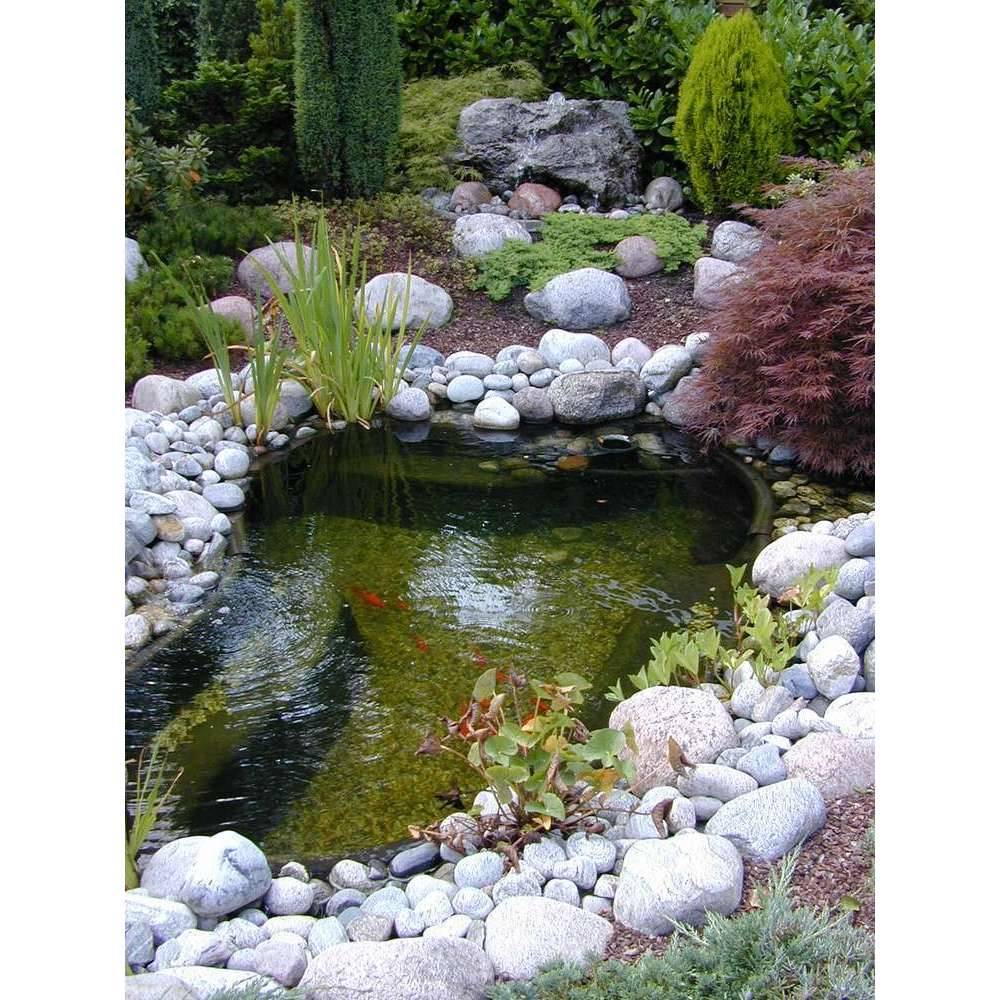 Ubbink - Bassin préformé Start 500 L - Ubbink