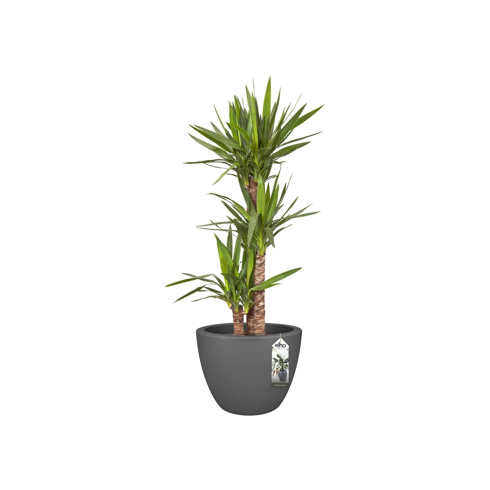 Elho - Pot Pure soft round Anthracite Ø 40 cm - Imagen 2