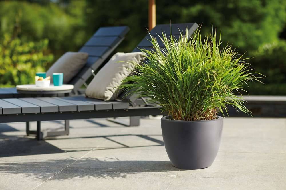 Elho - Pot Pure soft round Anthracite Ø 40 cm - Imagen 4