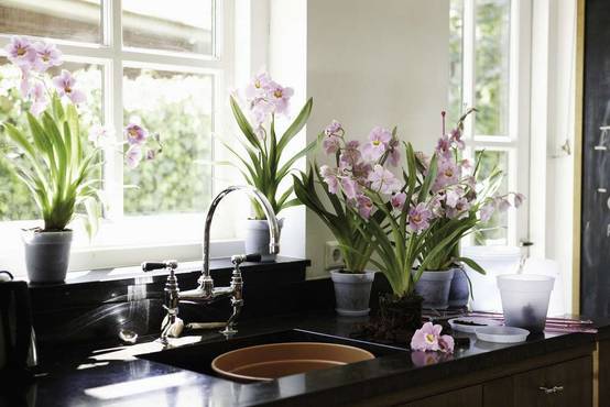Elho - Pot Pour Orchidée Green Basics - ELHO - Image 3