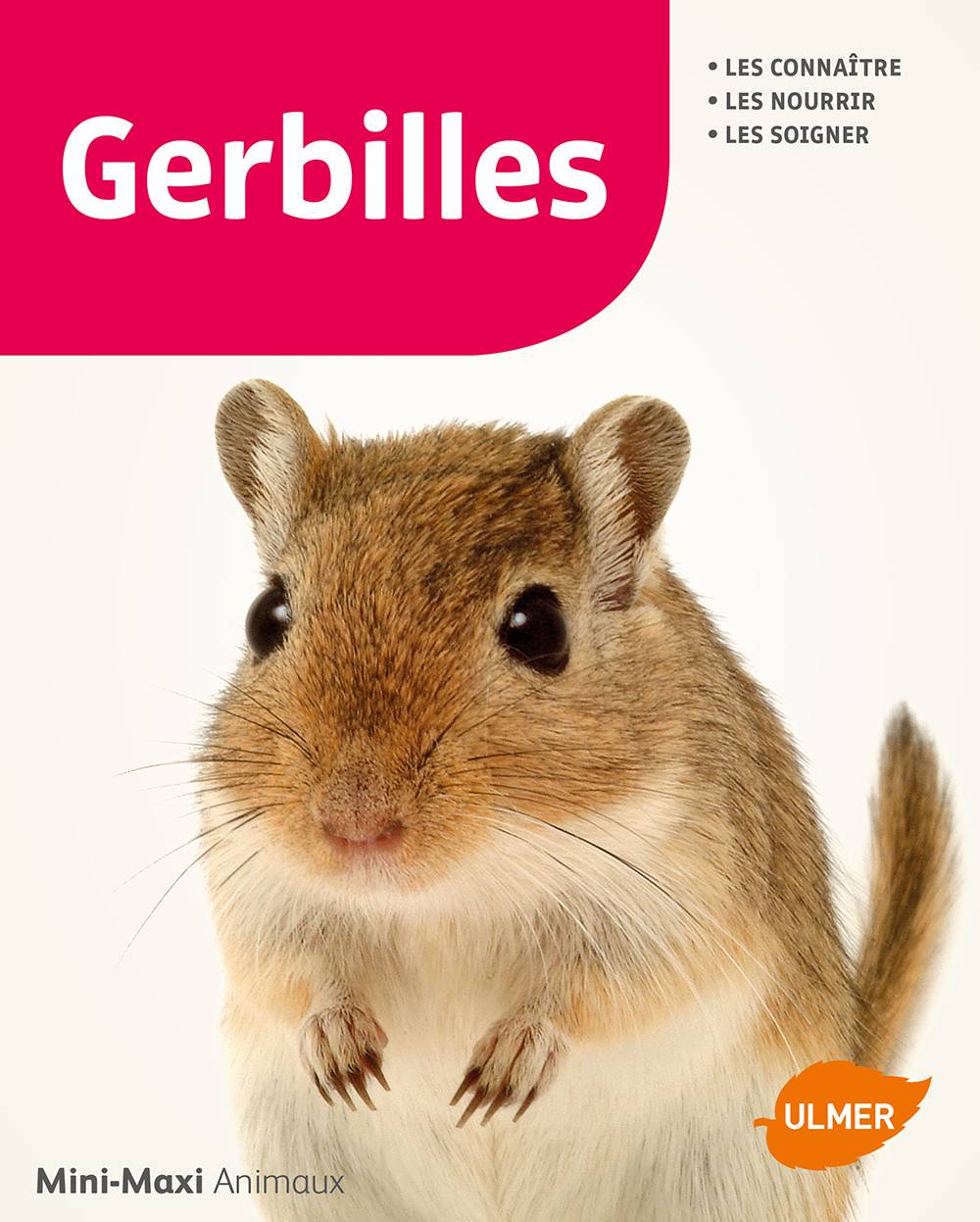 Ulmer - Gerbilles - Schmidt-Roger Heike