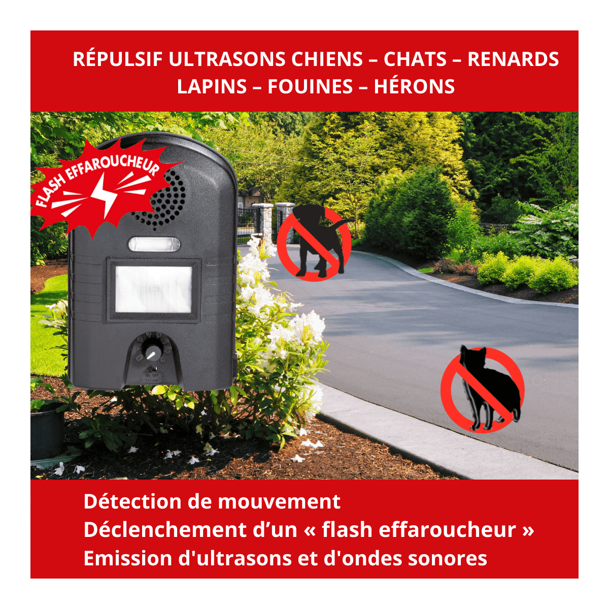 Appareil ultrasons chien et chat A piles - RETRO - Imagen 5