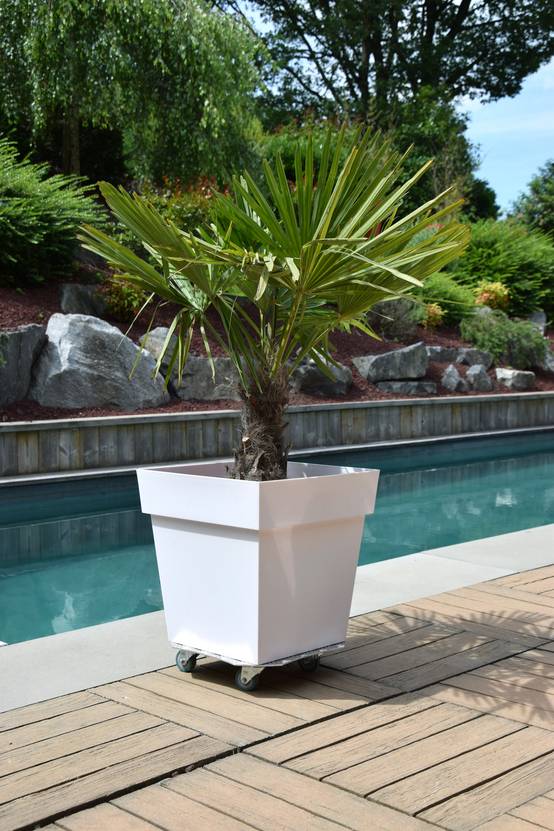 Louis Moulin - Roule plante Aluminium Alu 34x34 cm – LOUIS MOULIN - Image 2