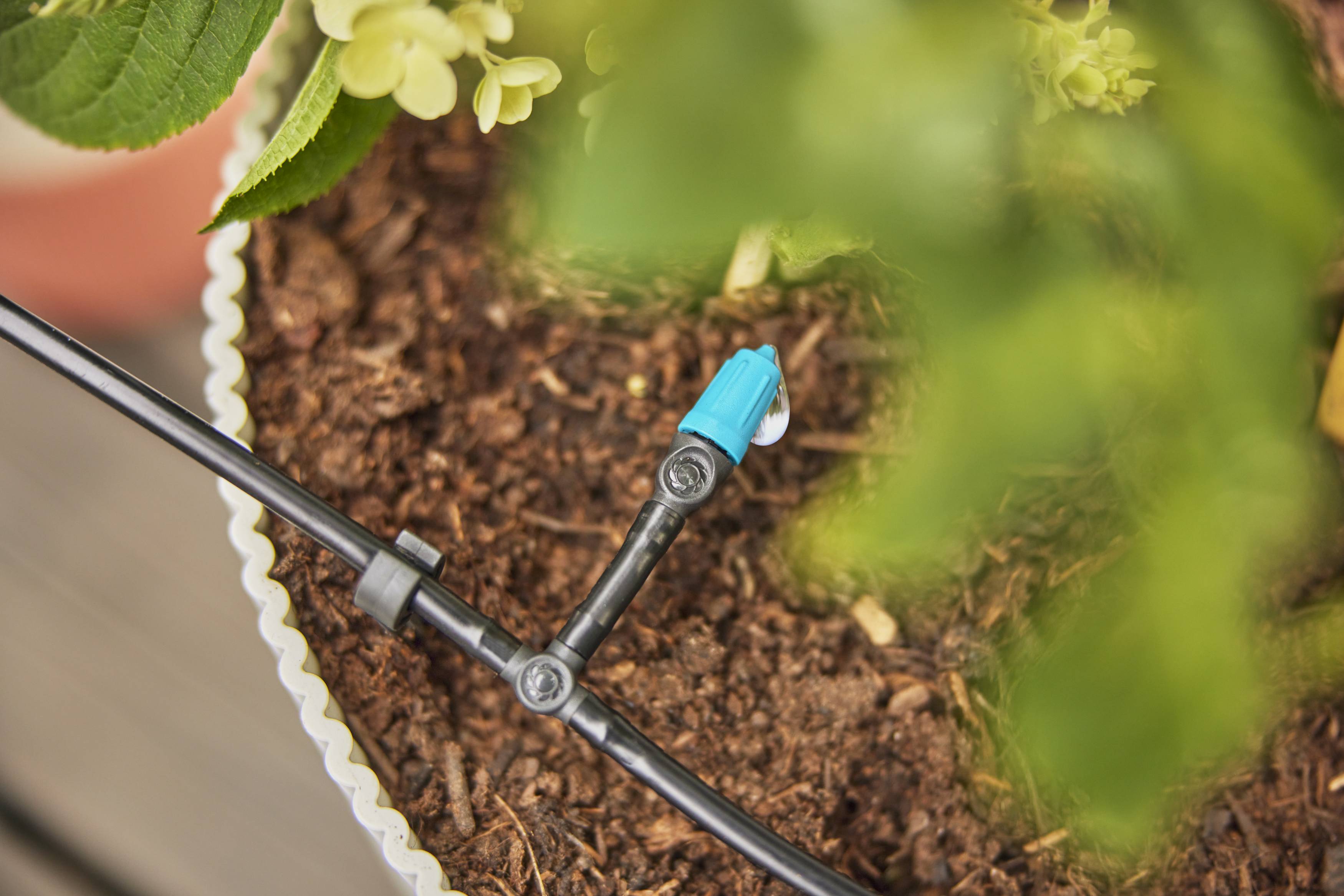 Gardena - Tuyau Micro Drip polyéthylène noir Ø 4,6 mm L. 50 m - Gardena - Imagen 7