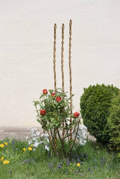 Windhager - Tuteur osier Sintra L190 cm - Image 3