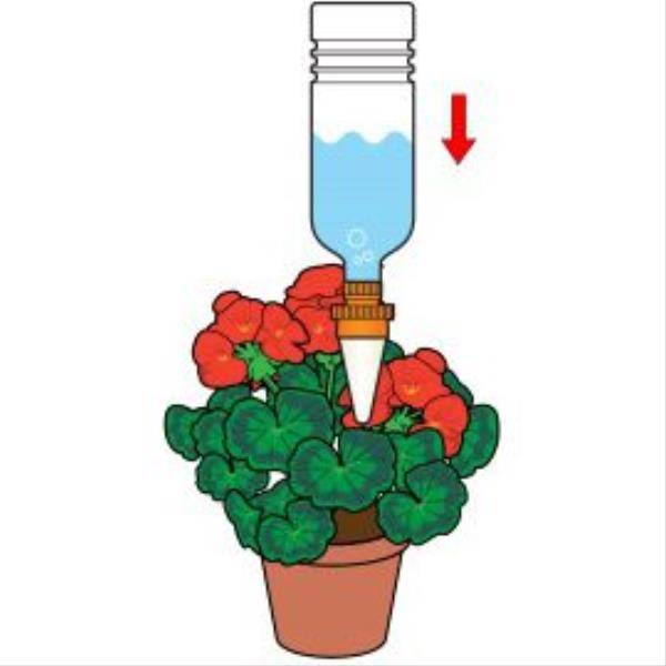 Hozelock - Cônes arrosage céramique microporeuse – AQUASOLO - Image 2