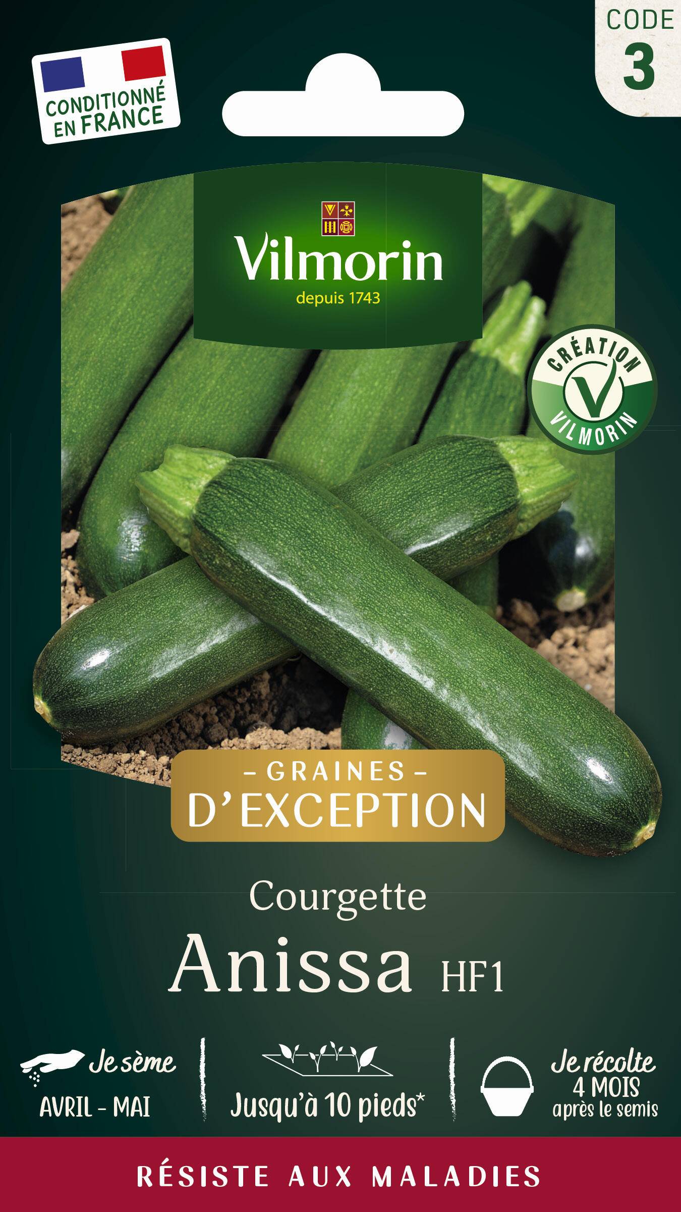 Vilmorin - Courgette Anissa HF1 serie 3 sachet graines 3 g - Vilmorin - Image 2