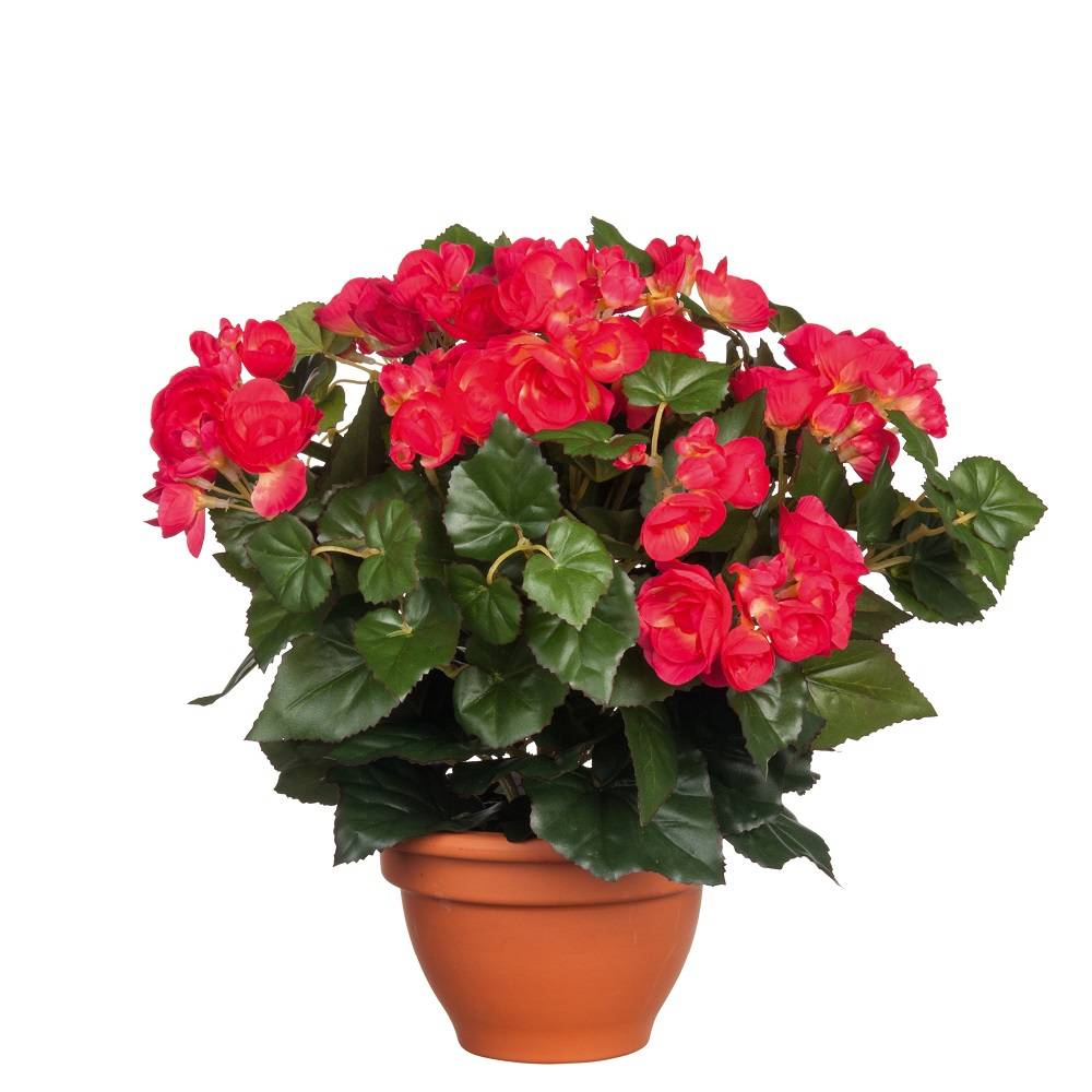 Mica Decorations - Bégonia Rouge artificiel en pot terre cuite H.37 x Ø 35 cm