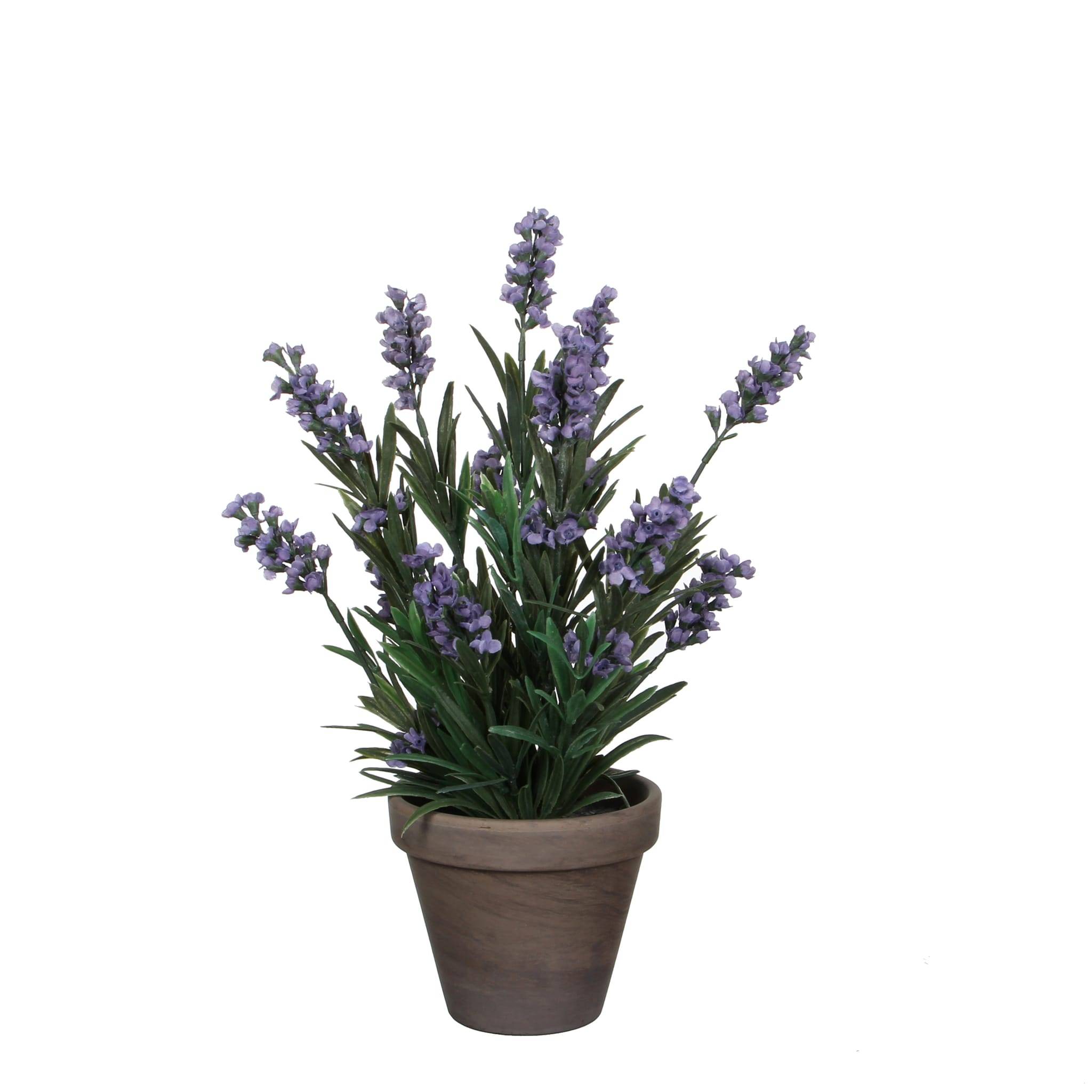 Mica Decorations - Lavande Artificielle En Pot - EDELMAN