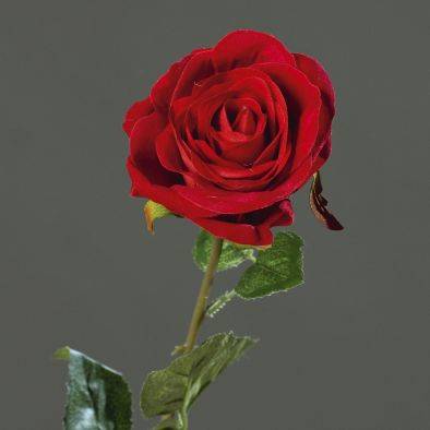 DPI - Rose velours artificielle rouge h61 cm