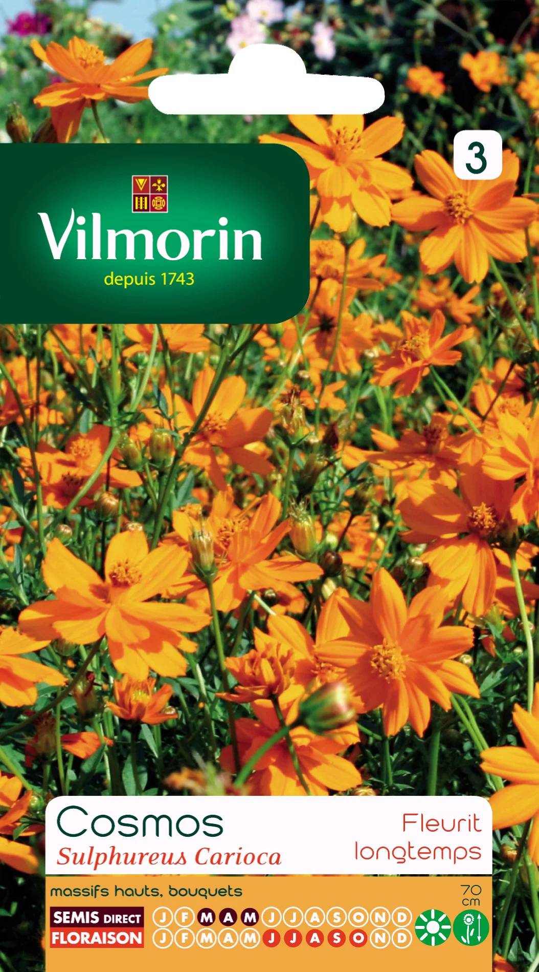 Vilmorin - Cosmos carioca série 3 sachet graines 1 g - Vilmorin - Image 2