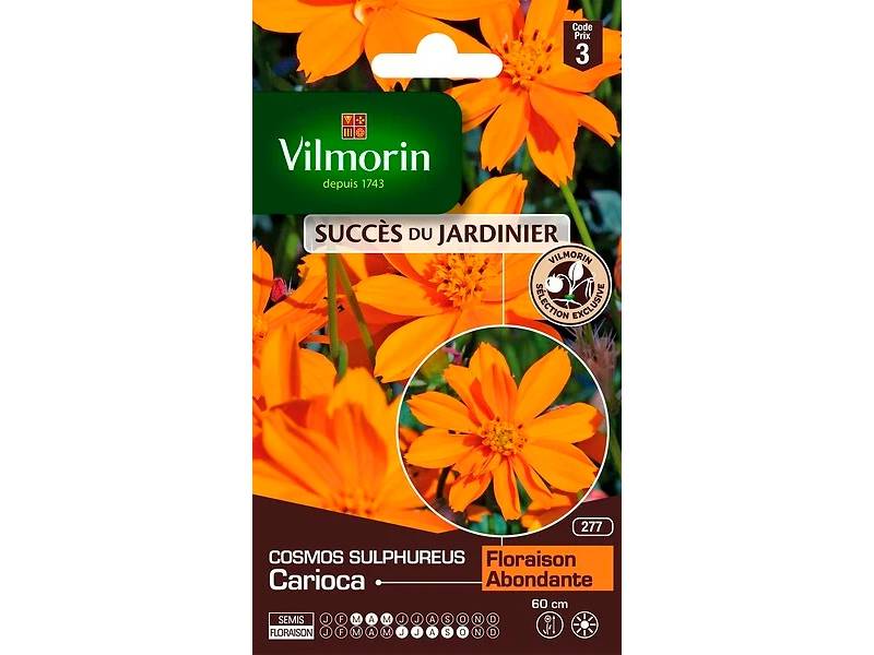 Vilmorin - Cosmos carioca série 3 sachet graines 1 g - Vilmorin - Image 4