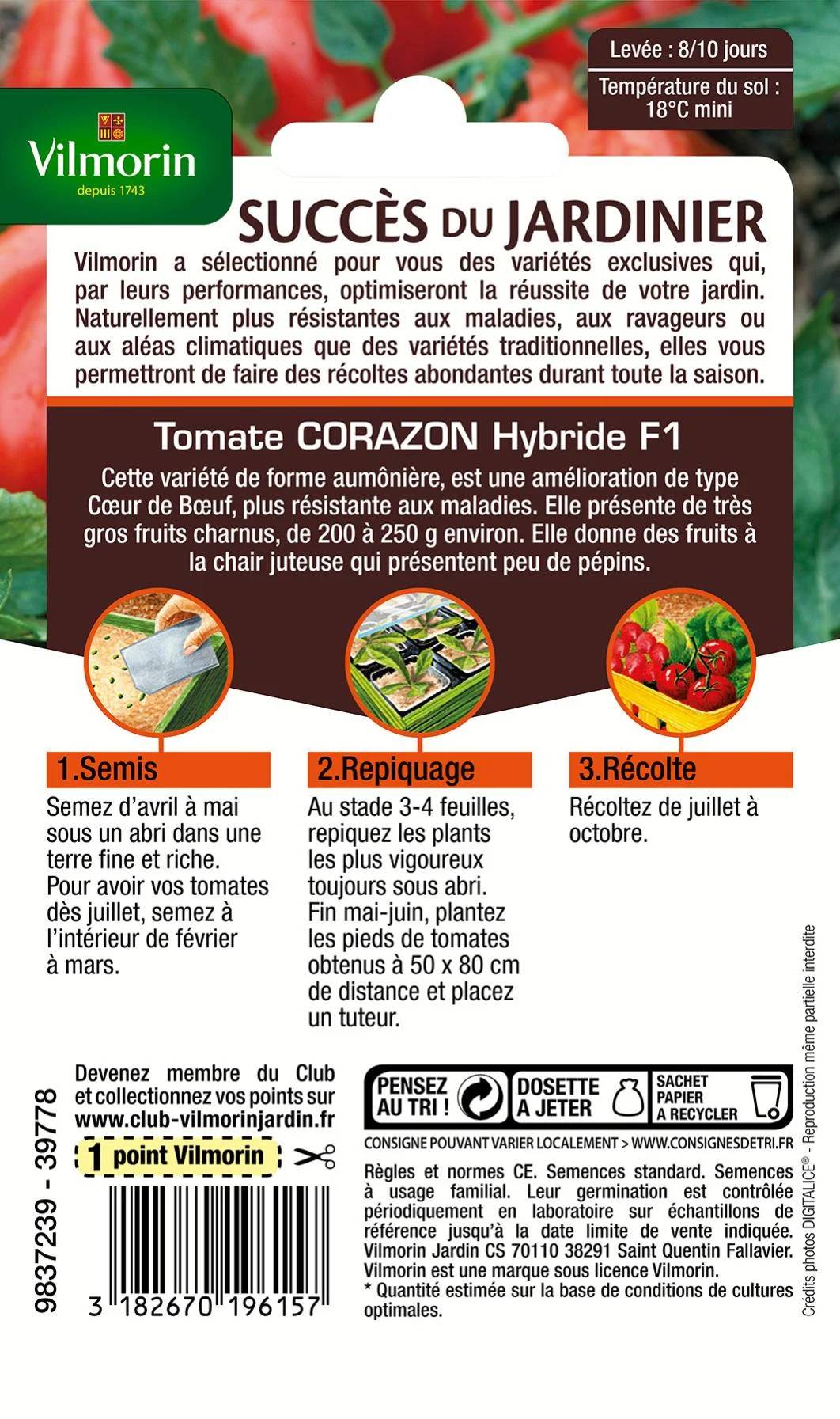 Vilmorin - Tomate Corazon HF1 serie 3 sachet graines 0,2 g - Vilmorin - Image 3