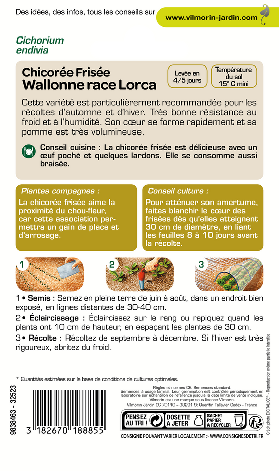 Vilmorin - Chicorée frisée wallonne race Lorca série 2 sachet graines 4 g - Vilmorin - Image 2