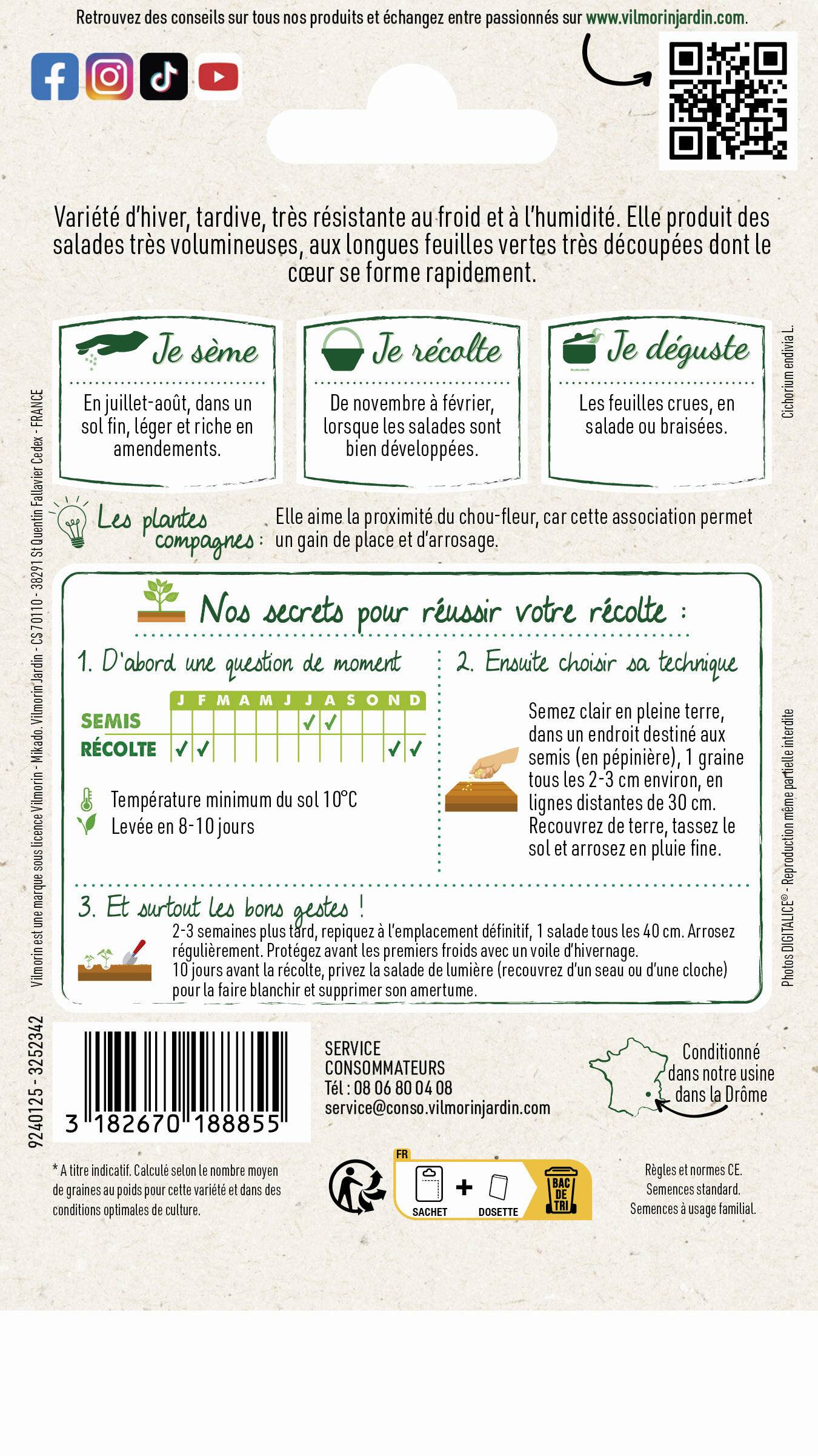 Vilmorin - Chicorée frisée wallonne race Lorca série 2 sachet graines 4 g - Vilmorin - Image 3