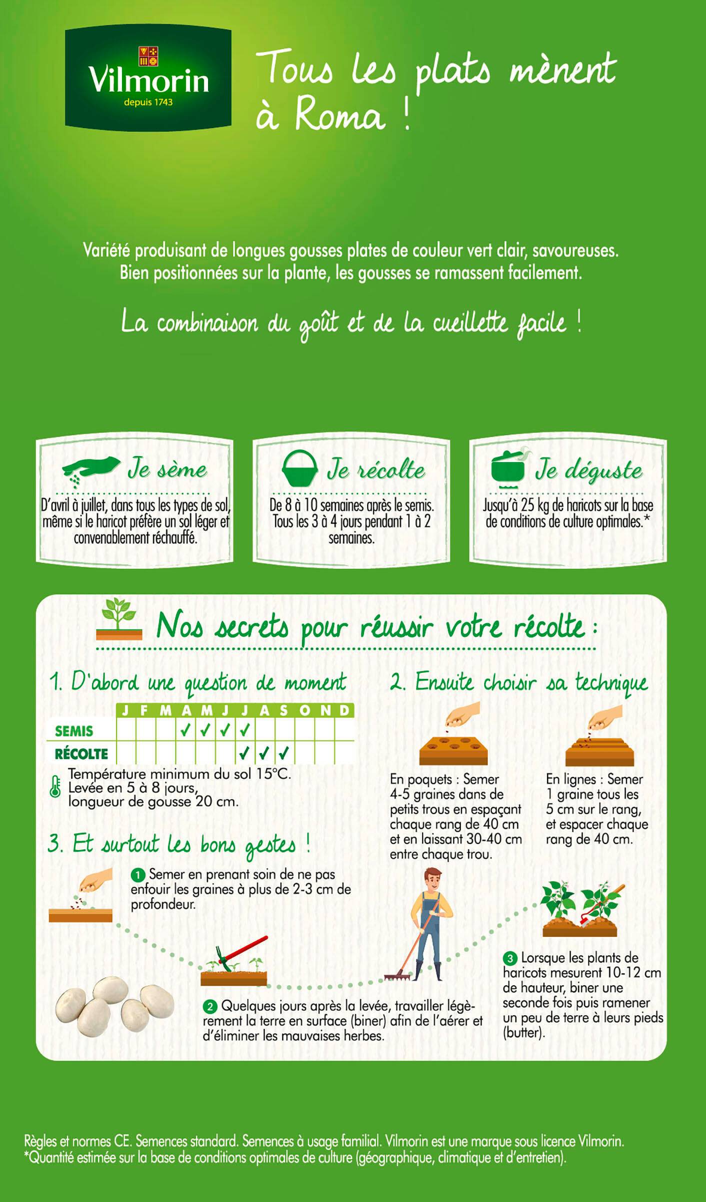 Vilmorin - Haricot Nain Vert Plat Roma 2 serie 2 boîte graines 150 g - Vilmorin - Image 2