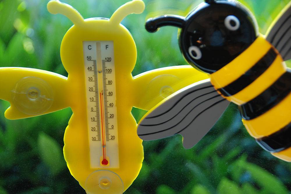 Esschert Design - Esschert Design - Thermomètre Guêpe - Imagen 4