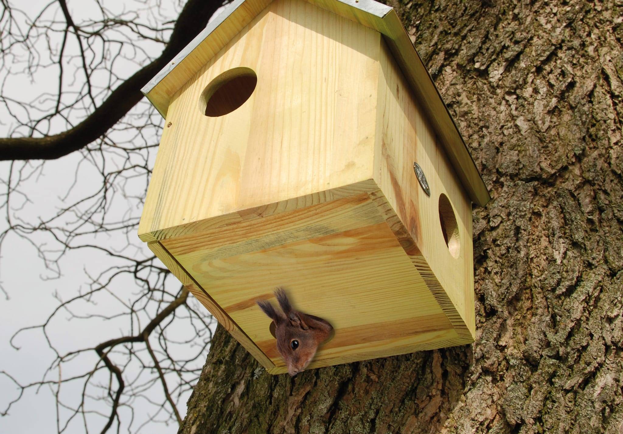 Best For Birds - Abri pour écureuil - Imagen 2