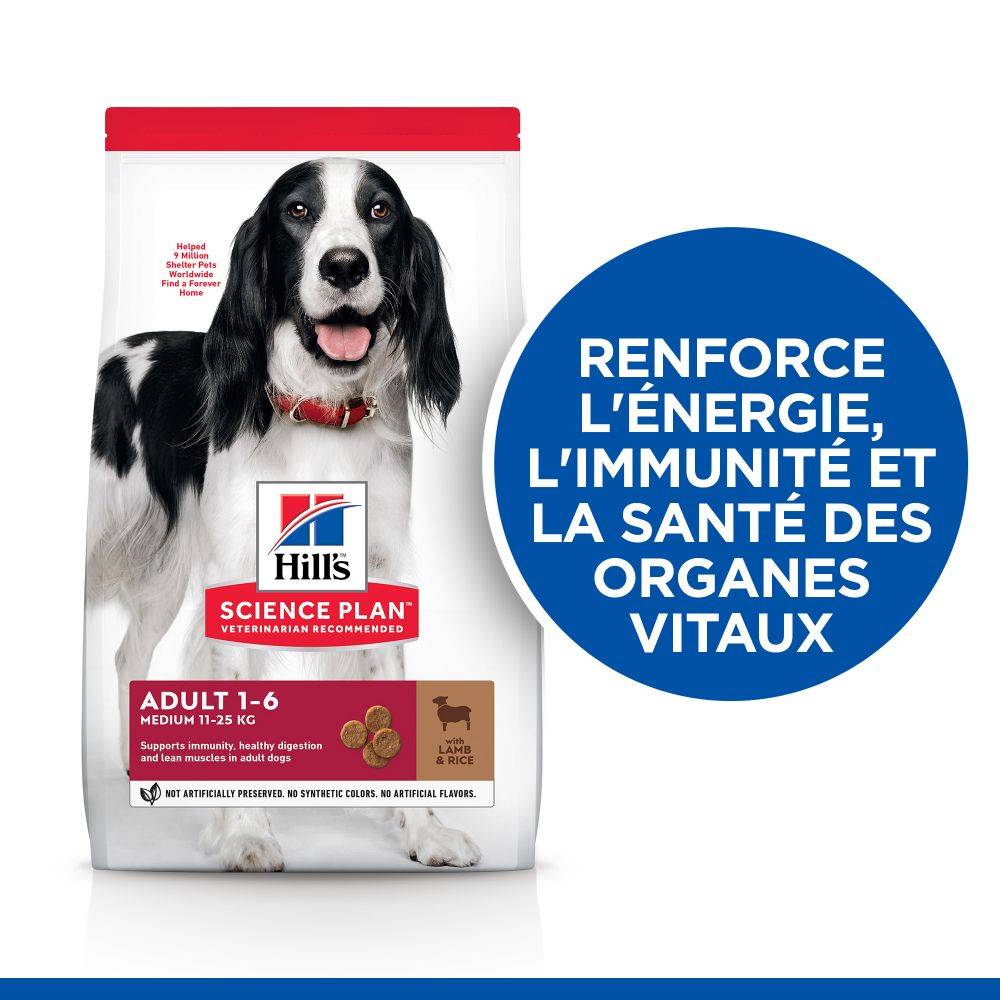 Science plan - Croquettes pour Chien Adulte Medium Agneau & Riz  12kg - Science Plan Hill's - Image 5