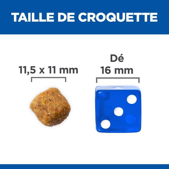 Science plan - Croquettes pour Chien Adulte Medium Agneau & Riz 12kg - Science Plan Hill's - Image 3