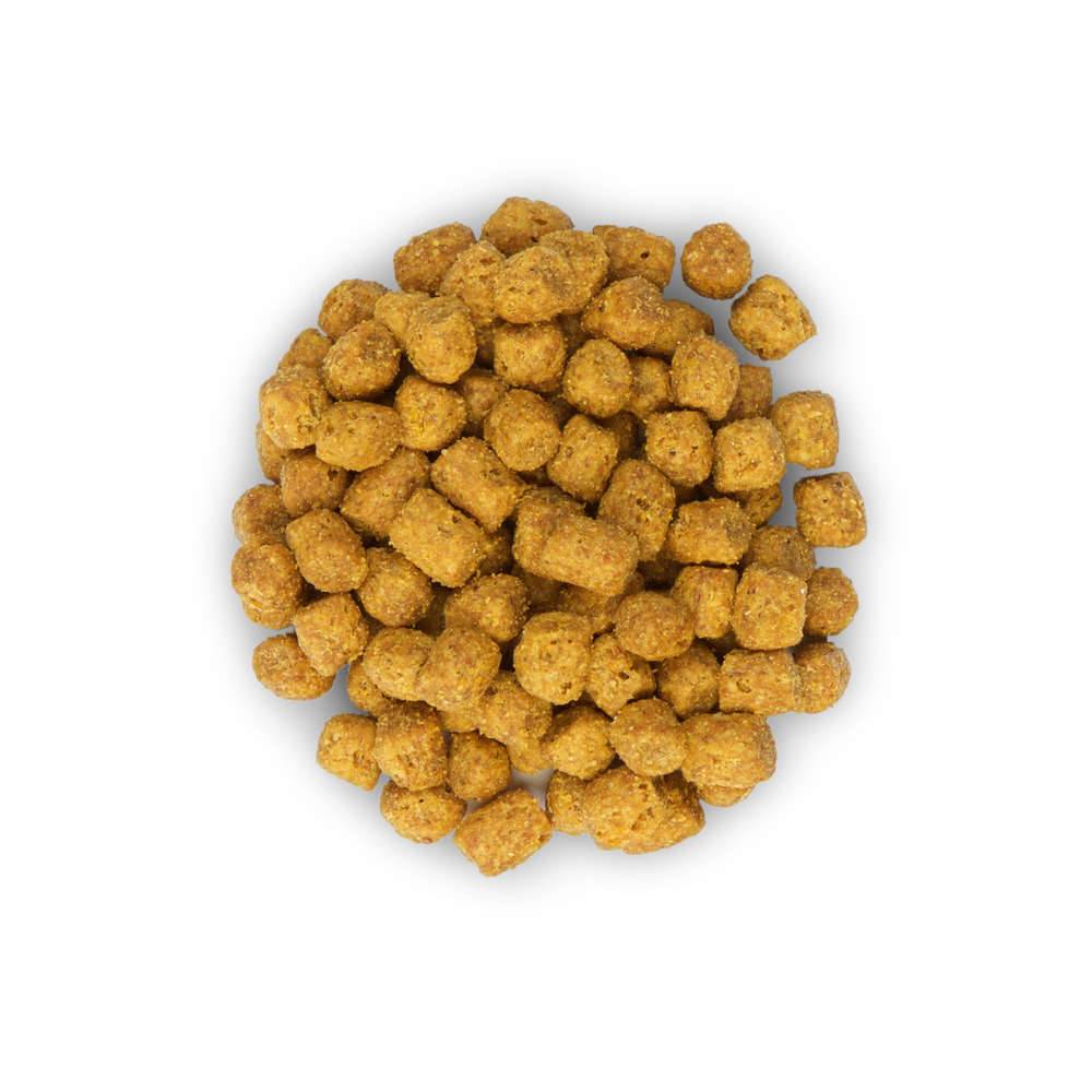 Science plan - Croquettes Chat Adulte Stérilisé Poulet - HILL'S - Imagen 8