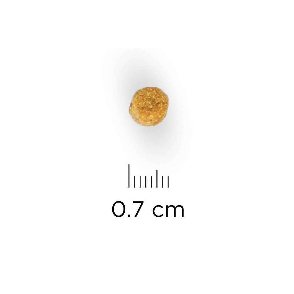 Science plan - Croquettes Chat Adulte Stérilisé Poulet - HILL'S - Imagen 12