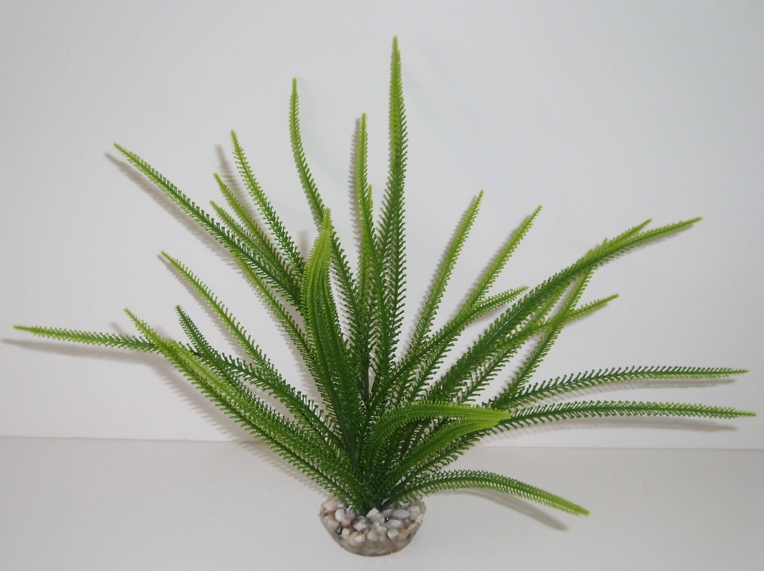 Labéo - Plante Artificielle Acorus Plastique Vert - LABEO - Image 1