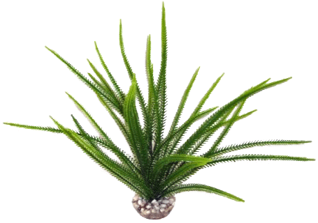 Labéo - Plante Artificielle Acorus Plastique Vert - LABEO - Image 3