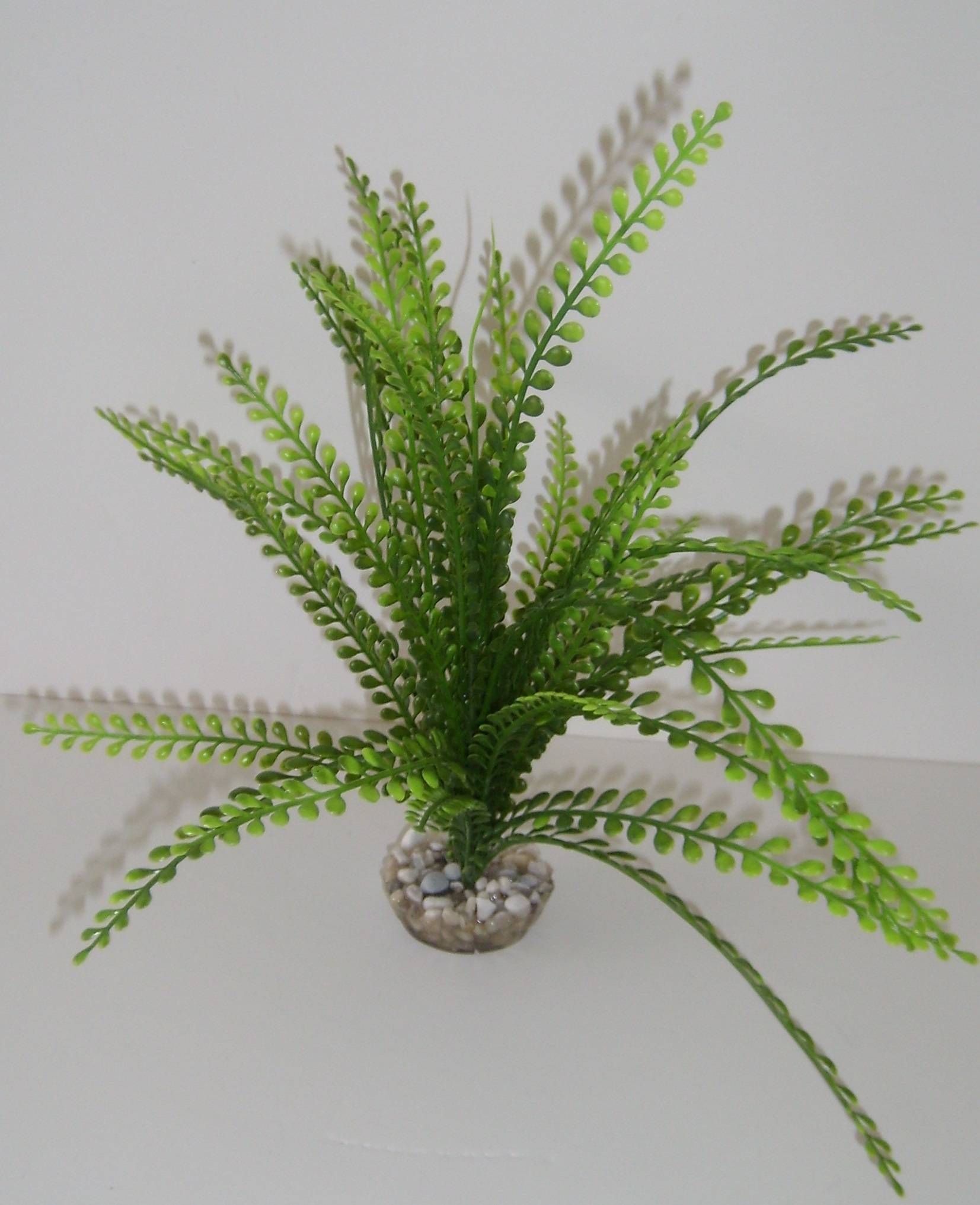 Labéo - Plante Artificielle Acorus Plastique Vert - LABEO - Image 2