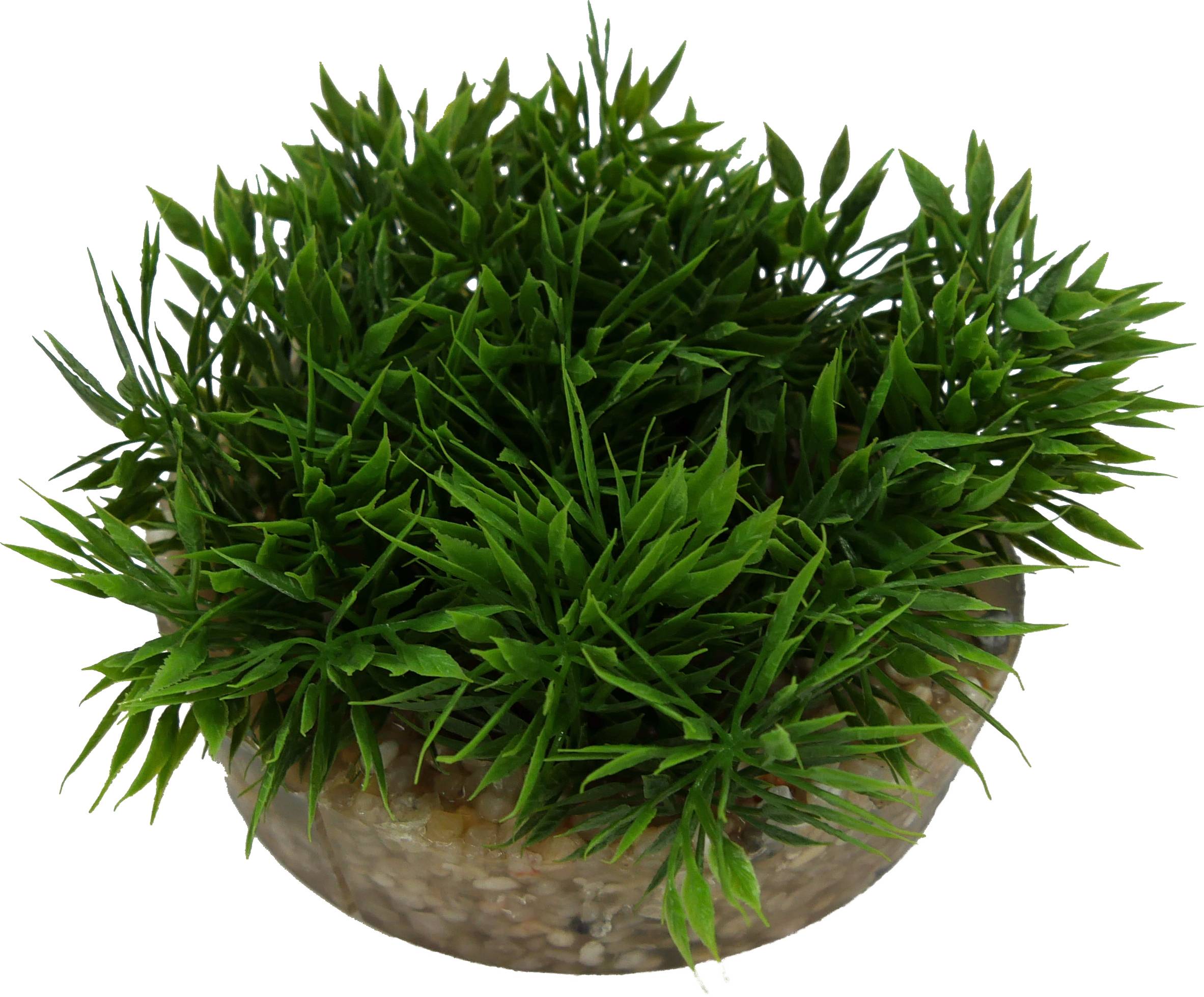 Labéo - Décor coupe gazon artificiel vert - H.5 cm - Labéo