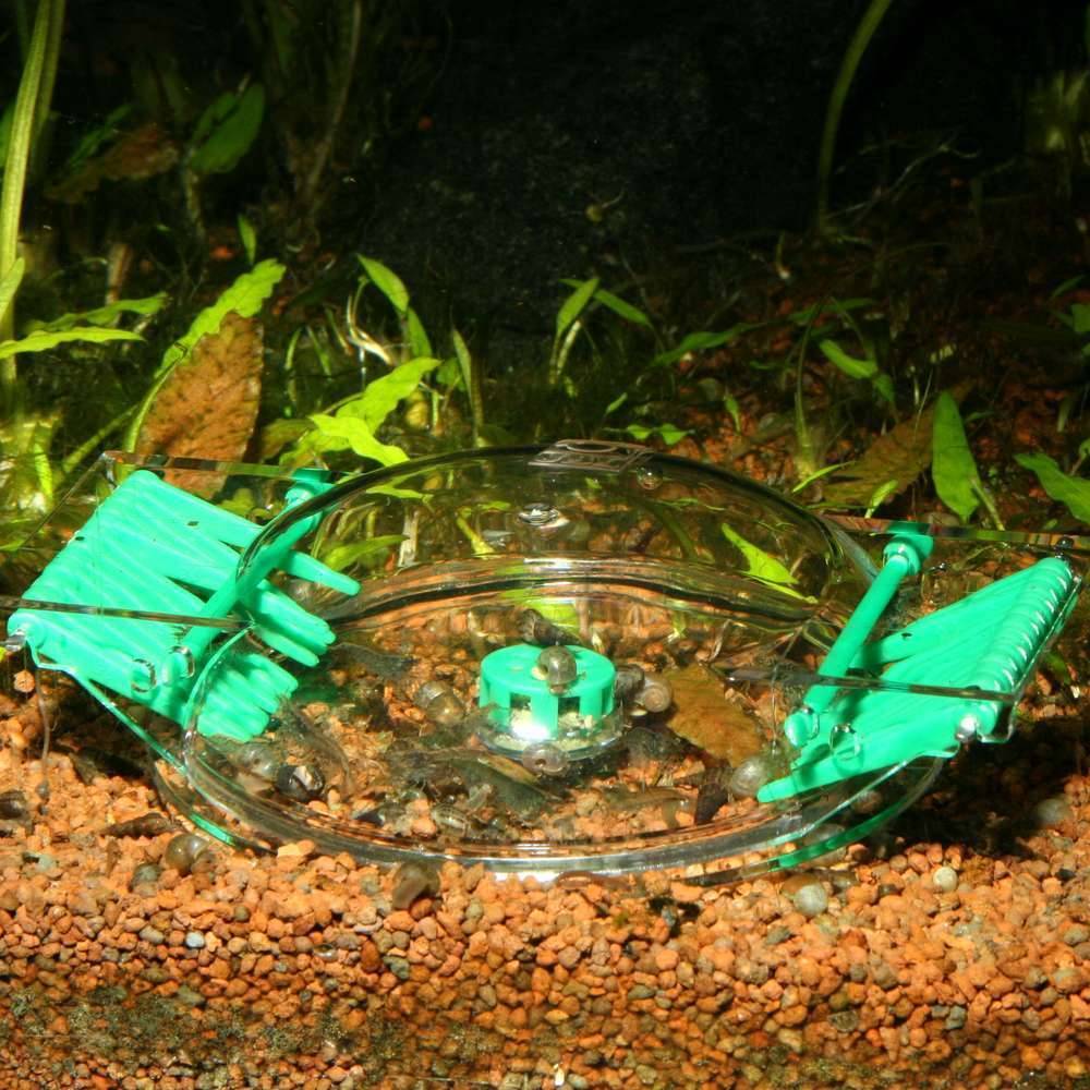 Piège à Escargots Sans Produits Chimiques – JBL - Imagen 3